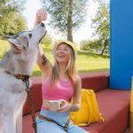 Smiling woman feeds Siberian Husky on sunny day, enjoying time outdoors on colorful steps.