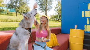 Smiling woman feeds Siberian Husky on sunny day, enjoying time outdoors on colorful steps.